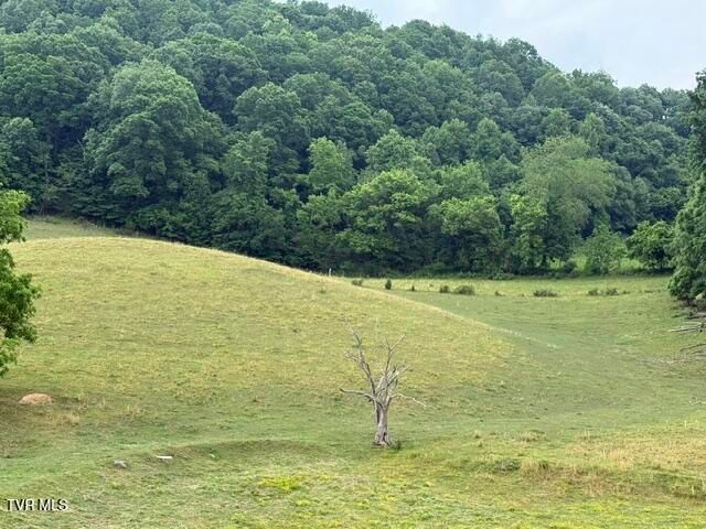 Tbd South Summer Sound Road, Piney Flats, TN 37686