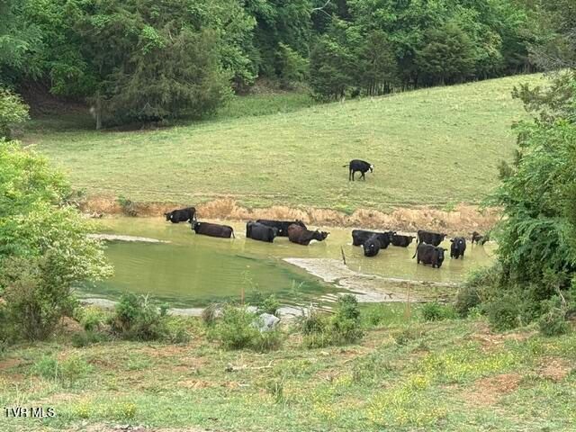 Tbd South Summer Sound Road, Piney Flats, TN 37686