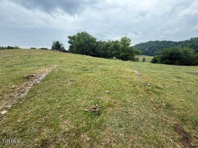 Tbd South Summer Sound Road, Piney Flats, TN 37686
