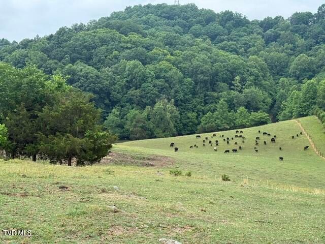 Tbd South Summer Sound Road, Piney Flats, TN 37686