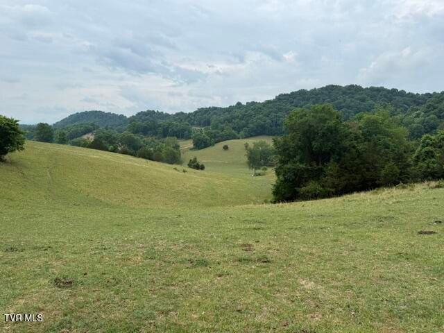 Tbd South Summer Sound Road, Piney Flats, TN 37686