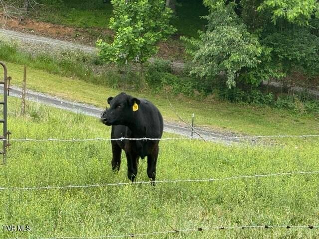 Tbd South Summer Sound Road, Piney Flats, TN 37686