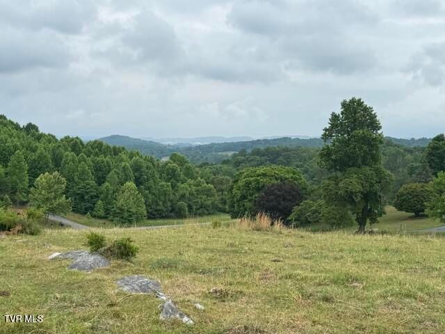 Tbd South Summer Sound Road, Piney Flats, TN 37686