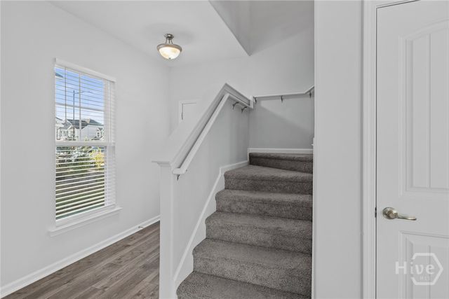 310 Sessile Oak Drive, Savannah, GA 31419