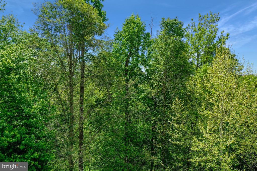 Image 34 of property listing at 901 MACPHAIL WOODS XING #3D, Bel Air, MD 21015