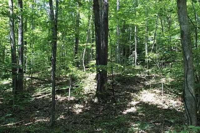 0 Old Highway 31E, Westmoreland, TN 37186