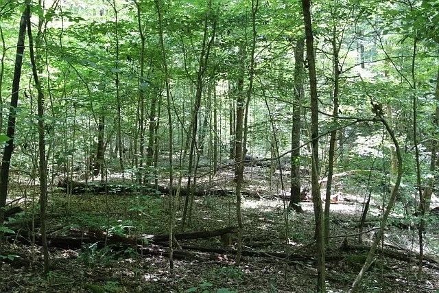 0 Old Highway 31E, Westmoreland, TN 37186