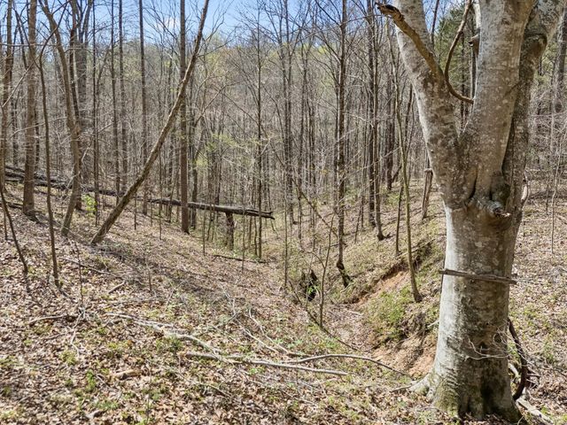 0 Old Highway 31E, Westmoreland, TN 37186