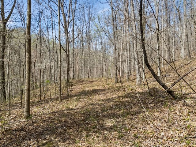 0 Old Highway 31E, Westmoreland, TN 37186