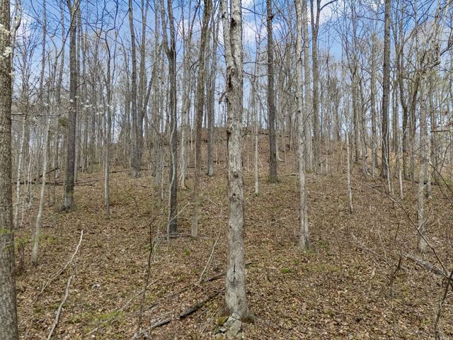 0 Old Highway 31E, Westmoreland, TN 37186