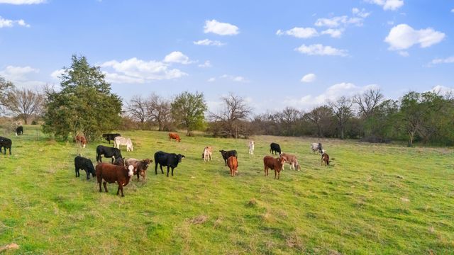 3647 County Road 265, Collinsville, TX 76233