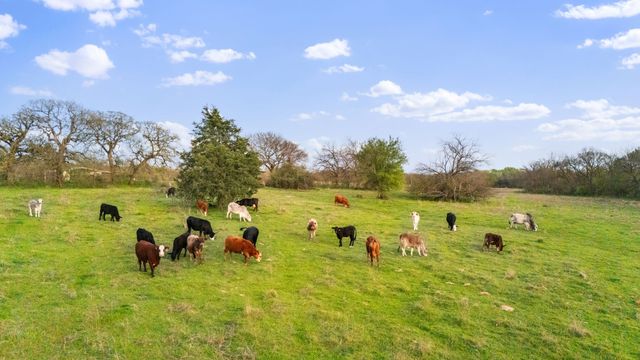 3647 County Road 265, Collinsville, TX 76233