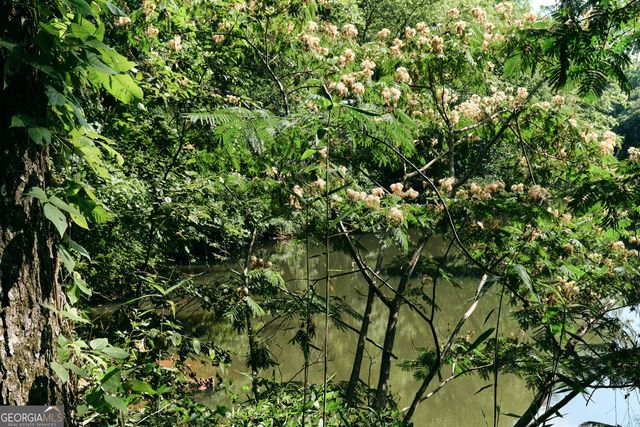 177 Antler Drive, Thomaston, GA 30286