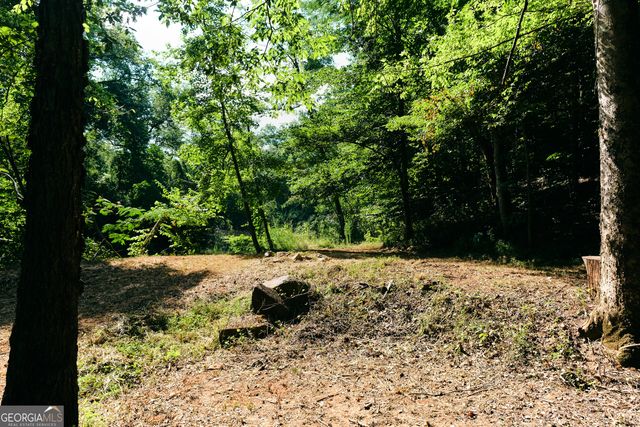 177 Antler Drive, Thomaston, GA 30286