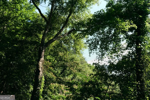 177 Antler Drive, Thomaston, GA 30286