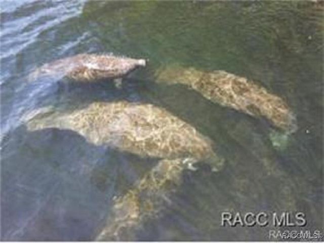 76 S Jefferson Street, Beverly Hills, FL 34465