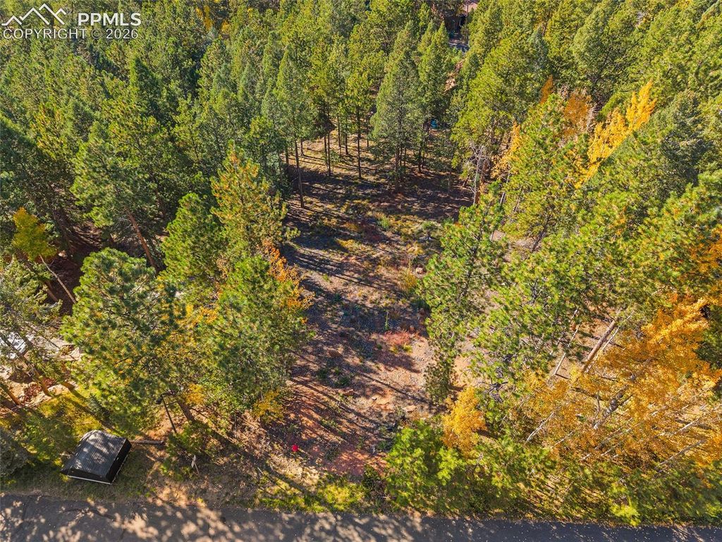 1320 Forest Edge Road, Woodland Park, CO 80863 — exterior