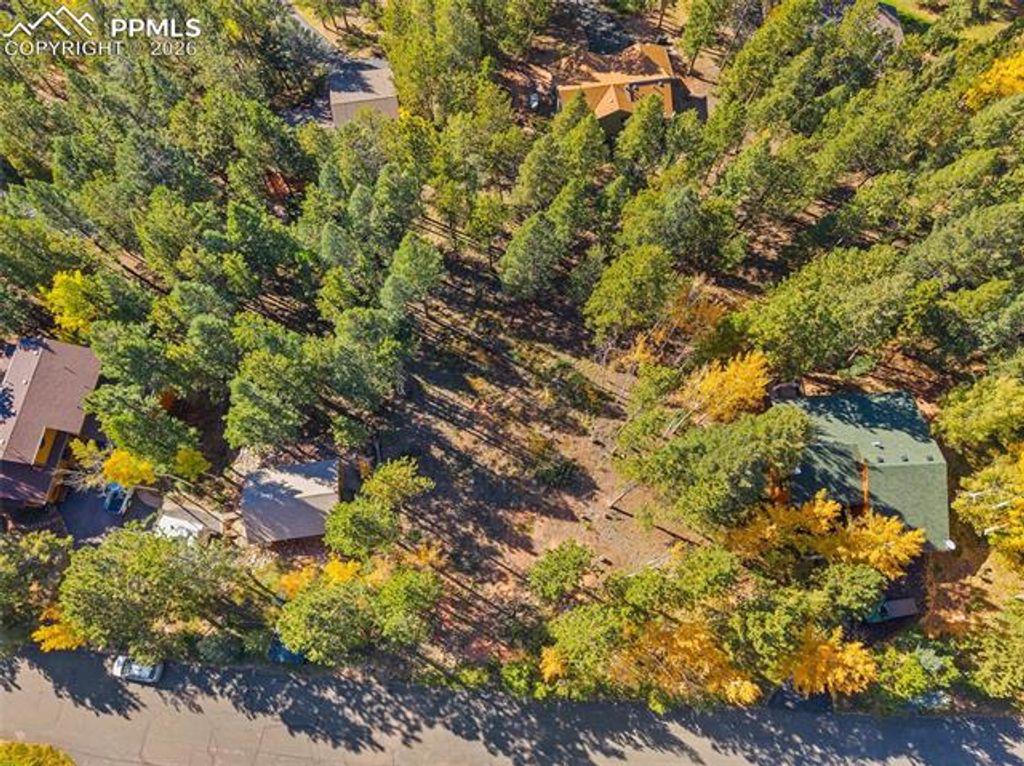 1320 Forest Edge Road, Woodland Park, CO 80863 — photo 2