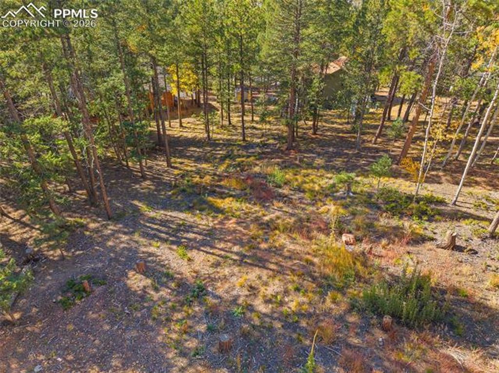 1320 Forest Edge Road, Woodland Park, CO 80863 — photo 3