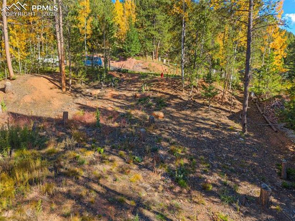 1320 Forest Edge Road, Woodland Park, CO 80863 — photo 4