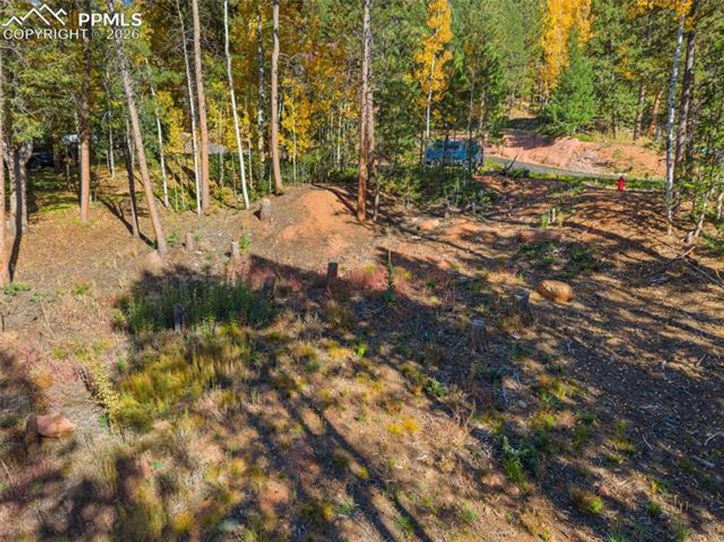 1320 Forest Edge Road, Woodland Park, CO 80863 — photo 5