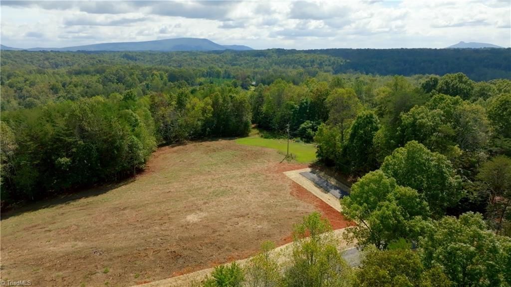 0 Dearmin Road, Westfield, NC 27053