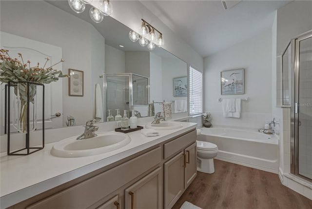 4224 BRANCHSIDE LANE, Wesley Chapel, FL 33543