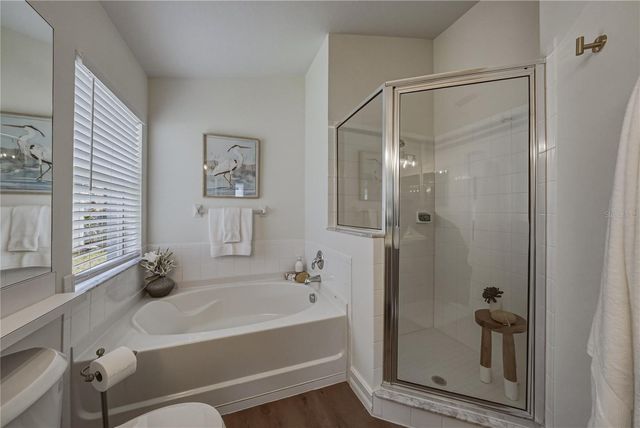 4224 BRANCHSIDE LANE, Wesley Chapel, FL 33543