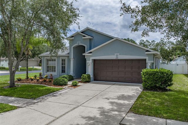 4224 BRANCHSIDE LANE, Wesley Chapel, FL 33543