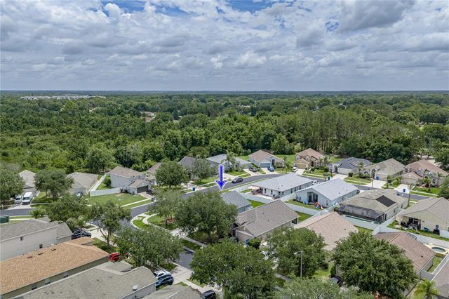 4224 BRANCHSIDE LANE, Wesley Chapel, FL 33543