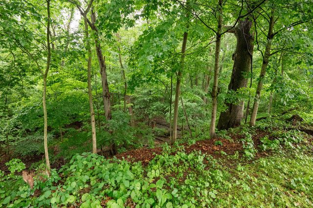 436 E Division Street, Dowagiac City, MI 49047