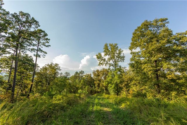 001-08532-000 NC 6012, Jasper, AR 72641