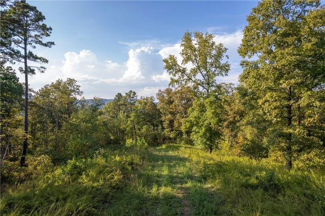 001-08532-000 NC 6012, Jasper, AR 72641