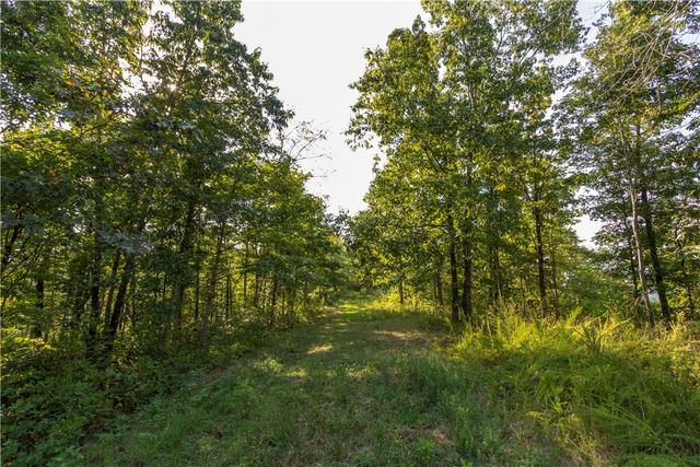 001-08532-000 NC 6012, Jasper, AR 72641