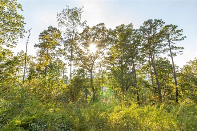 001-08532-000 NC 6012, Jasper, AR 72641