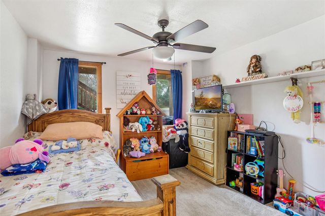 25734 Water Ridge Drive, Houston, TX 77336