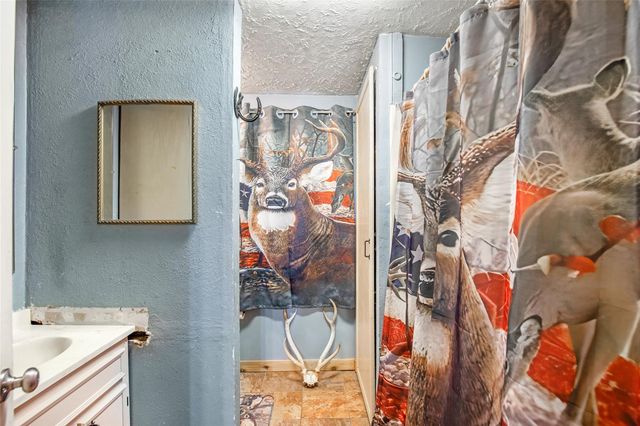 25734 Water Ridge Drive, Houston, TX 77336