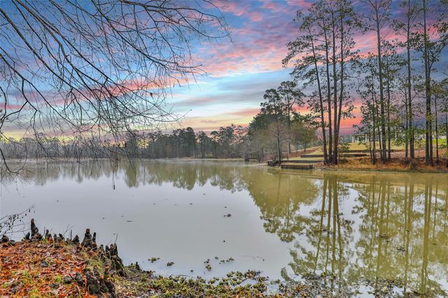 25734 Water Ridge Drive, Houston, TX 77336