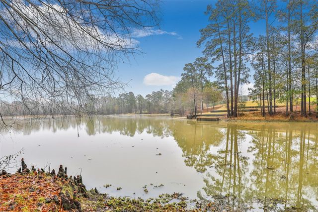 25734 Water Ridge Drive, Houston, TX 77336