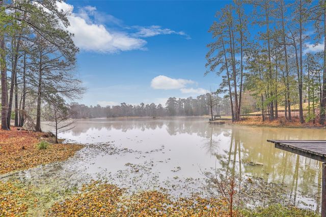 25734 Water Ridge Drive, Houston, TX 77336