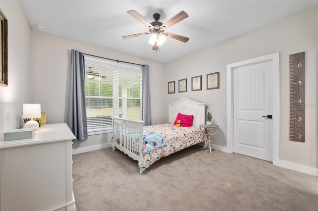 11833 NW 234TH STREET, Alachua, FL 32615