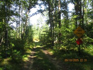 00 Firelane Trail Trail, Lake George, MI 48633