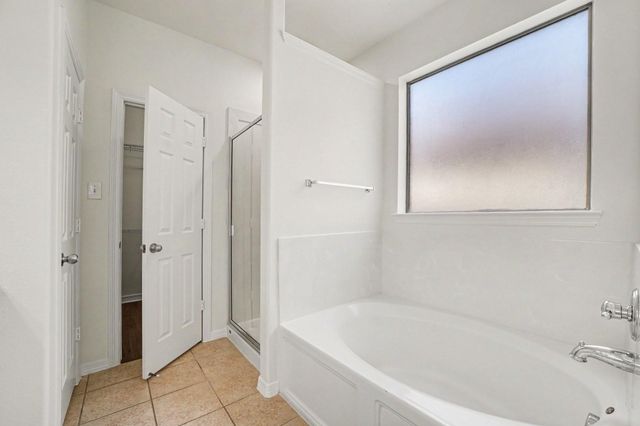 20176 Bitter Root Drive, Porter, TX 77365