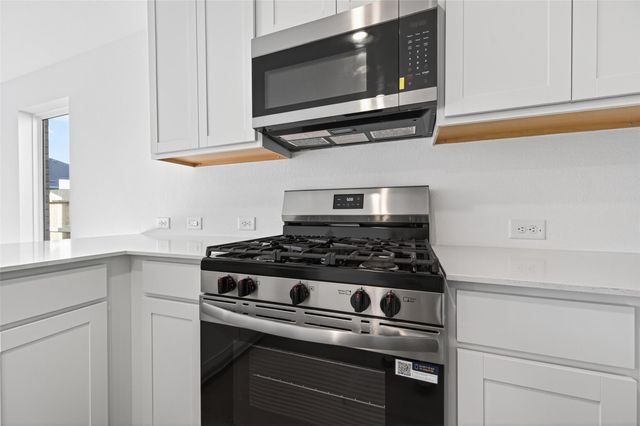 16119 Domestic Dove Way, Hockley, TX 77447