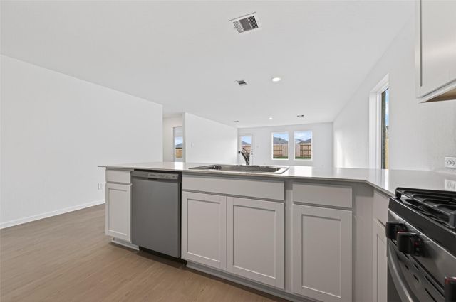 16119 Domestic Dove Way, Hockley, TX 77447