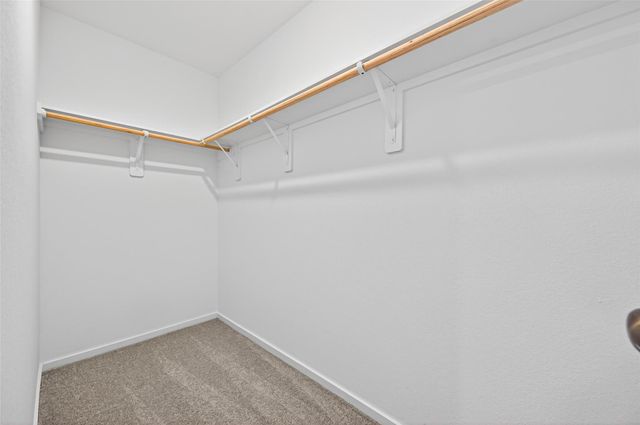 16119 Domestic Dove Way, Hockley, TX 77447