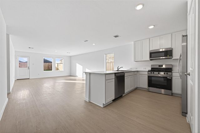 16119 Domestic Dove Way, Hockley, TX 77447