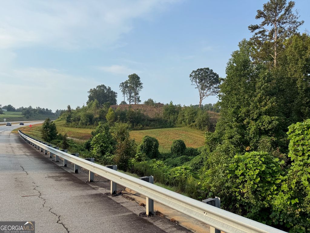 0 US Hwy 17, Martin, GA 30557 — photo 3