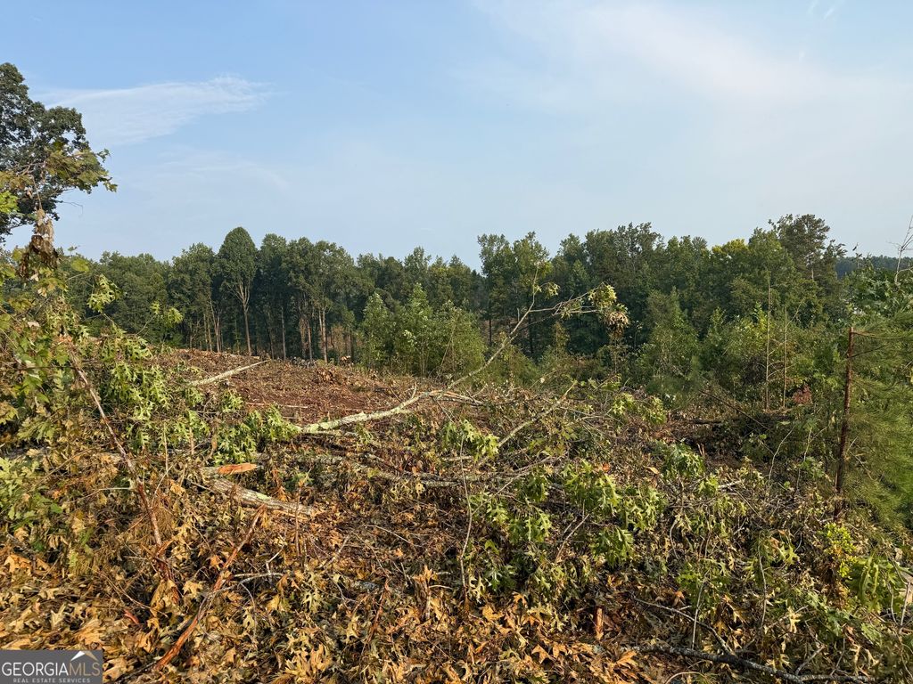 0 US Hwy 17, Martin, GA 30557 — photo 5