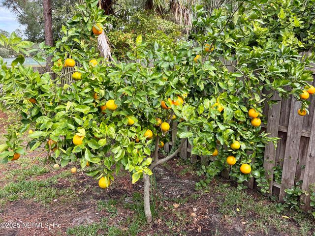 1358 BROOKGREEN Way, Fleming Island, FL 32003